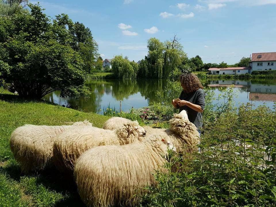 Ferienwohnung Karlsruhe Exteriör bild